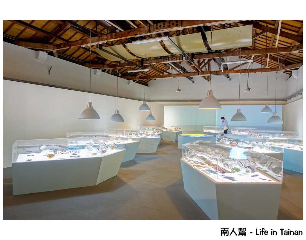 蕭壠文化園區幸福ê記憶