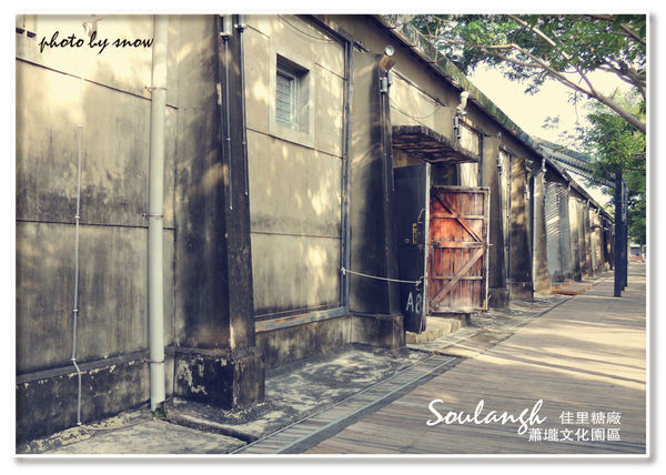 104.11.16 台南漳州木玫瑰體驗-蕭壠(橫)-4.jpg