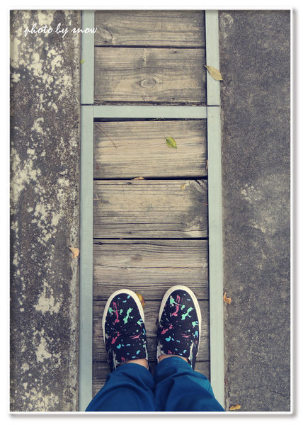 104.11.16 台南漳州木玫瑰體驗-蕭壠.jpg