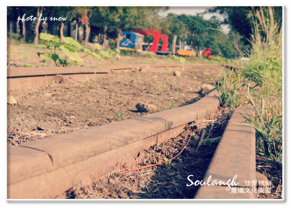 104.11.16 台南漳州木玫瑰體驗-蕭壠(橫)-6.jpg