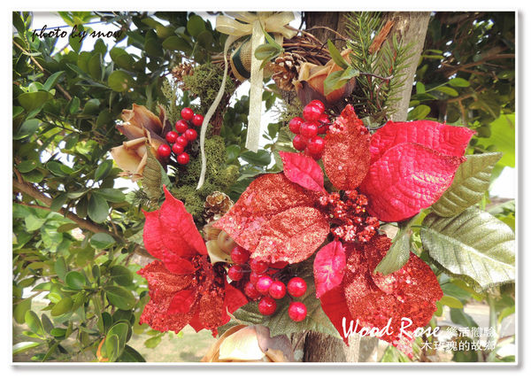 104.11.16 台南漳州木玫瑰體驗-橫式-18.jpg