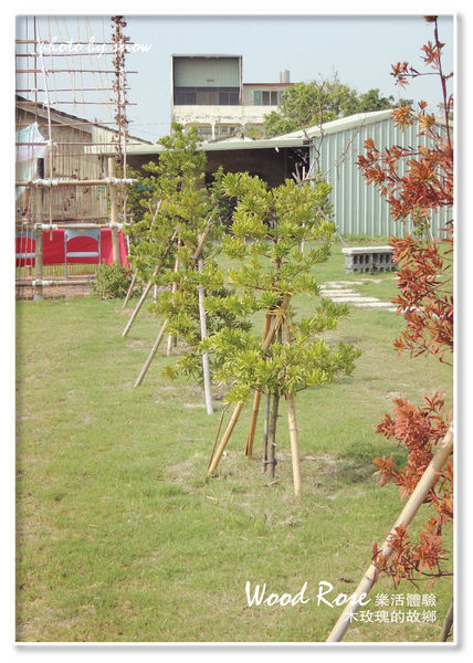 104.11.16 台南漳州木玫瑰體驗-3.jpg