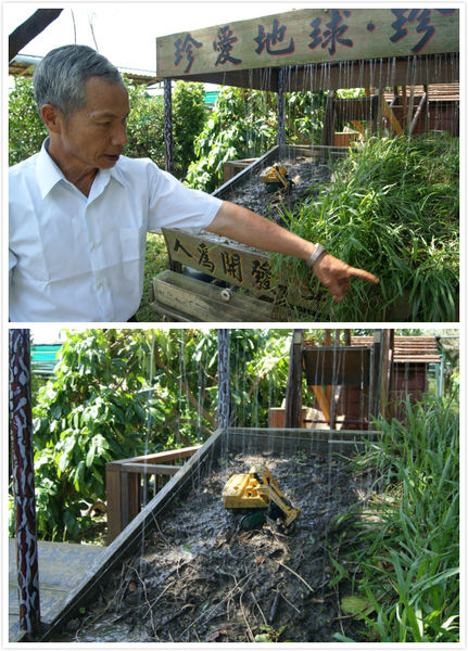 雲林十大伴手禮的世唯文旦Q餅