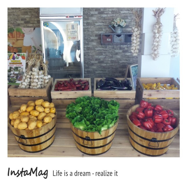 食光寶盒蔬食主題館:【宜蘭景點】TIME BOX食光寶盒蔬食主題館