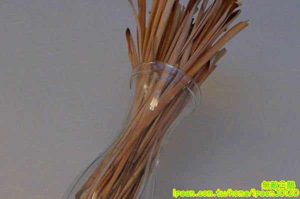 豬鼻子越式創意美食(無):【台南-北區】越南x創意料理...大推法國麵包.越南炸豆腐.湯河粉-海鮮酸辣.越式咖啡.酸子水..香水檸檬/