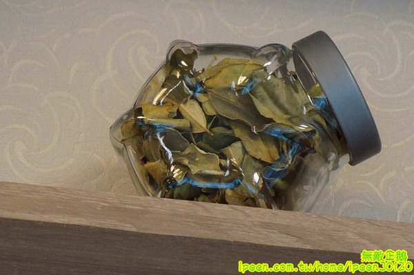 豬鼻子越式創意美食(無):【台南-北區】越南x創意料理...大推法國麵包.越南炸豆腐.湯河粉-海鮮酸辣.越式咖啡.酸子水..香水檸檬/