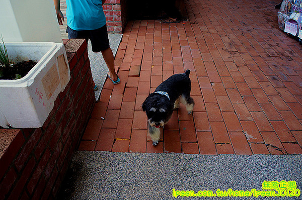 戀愛廣場 & 遊艇碼頭 & 碧海碼頭:【台南-安平區】可以看到對面的林默娘公園...走到底還有戀愛廣場喔!~《碧海碼頭》