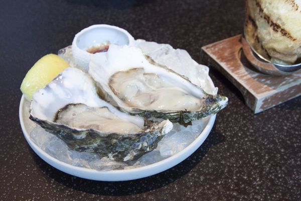 TK Seafood & Steak 初訪 - 22