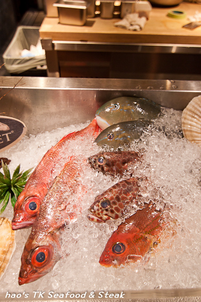 201605TK Seafood & Steak014.jpg