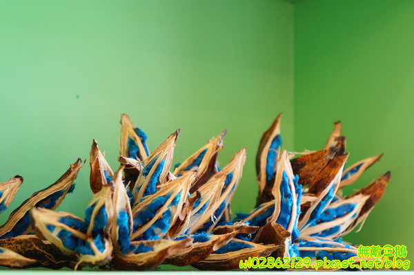 彩虹糖 輕食•義大利麵館：【台南-永康區】義大利麵x彩虹....大推焗烤奶油海鮮麵.巧克力布朗尼.草莓生乳酪塔...《彩虹糖 輕食•義大利麵館》