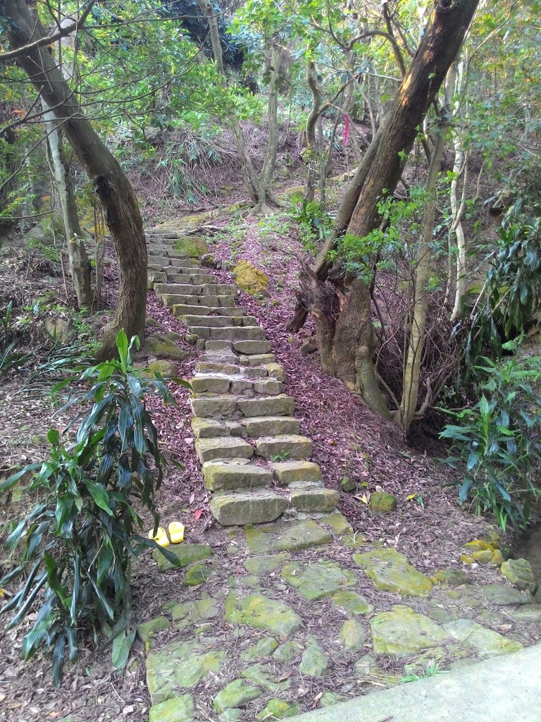 P_20150905_163220_1_p