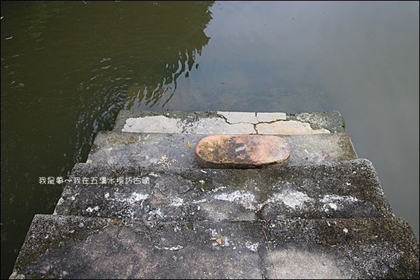 屏東五溝水45.jpg