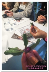 Naked Market 裸市集：台灣紅藜料理分享會．在地土長超級食物（發表篇） ──信豐農場x裸市集