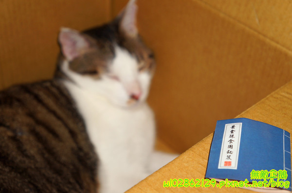 吳府其馬舖：【宅配】黃金x沙其瑪...酥脆good~《吳府其馬舖》