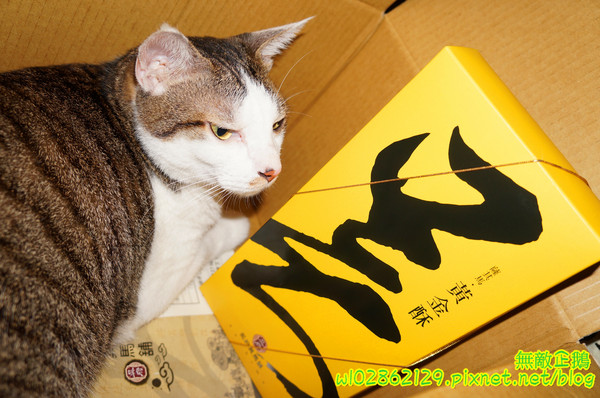 吳府其馬舖：【宅配】黃金x沙其瑪...酥脆good~《吳府其馬舖》