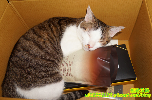 吳府其馬舖：【宅配】黃金x沙其瑪...酥脆good~《吳府其馬舖》