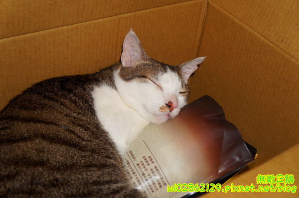 吳府其馬舖：【宅配】黃金x沙其瑪...酥脆good~《吳府其馬舖》