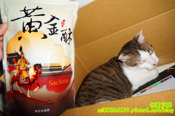 吳府其馬舖：【宅配】黃金x沙其瑪...酥脆good~《吳府其馬舖》