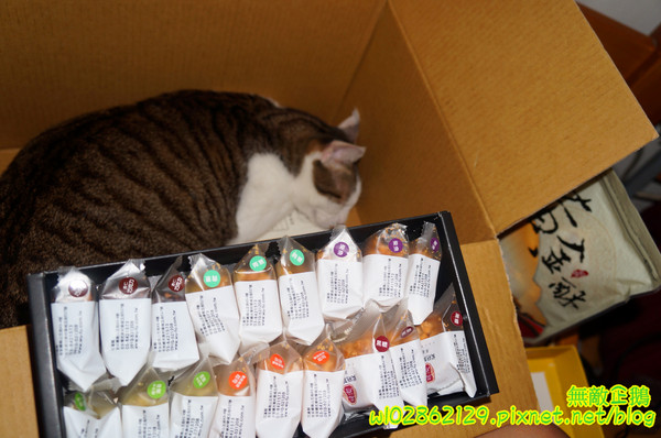 吳府其馬舖：【宅配】黃金x沙其瑪...酥脆good~《吳府其馬舖》