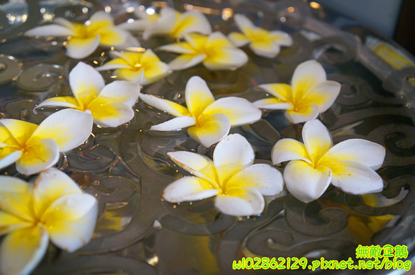 LeWAY 樂の本味(台南崇學店):【台南-東區】初鹿鮮奶x芋頭冰沙....來自台北的飲料店~《LeWAY 樂の本味》