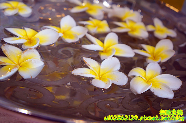 LeWAY 樂の本味(台南崇學店):【台南-東區】初鹿鮮奶x芋頭冰沙....來自台北的飲料店~《LeWAY 樂の本味》