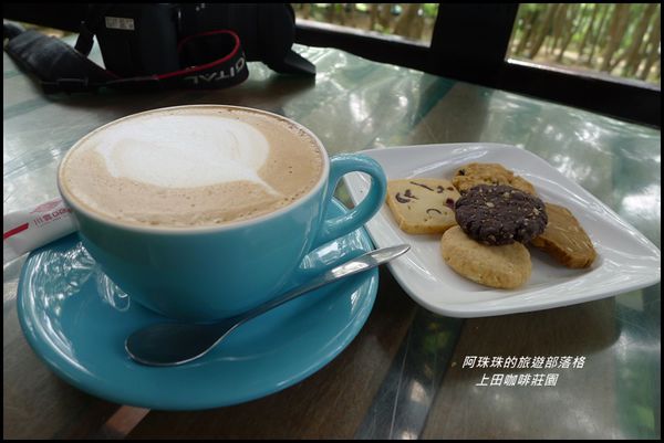上田咖啡莊園27.JPG