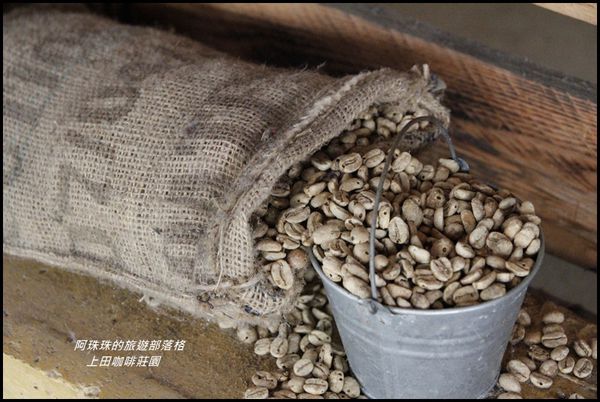 上田咖啡莊園8.JPG