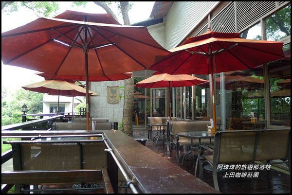 上田咖啡莊園28.JPG