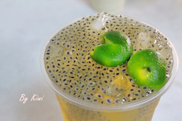 路易十八古早味冬瓜茶大埔店4393