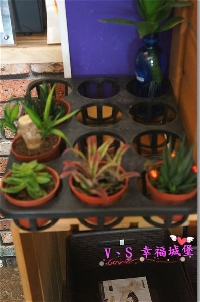 DSC02726 [-1]_meitu_34.jpg