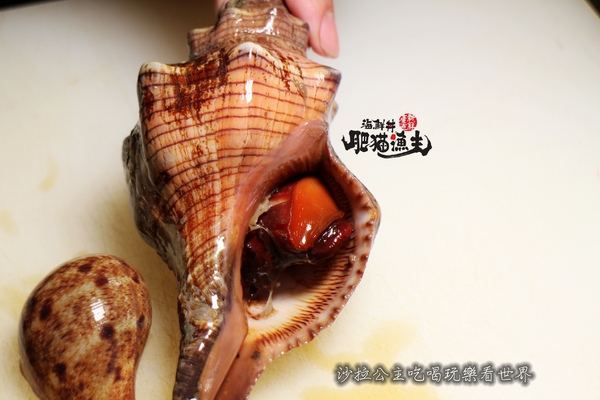 肥猫漁夫 海鮮丼專賣店：台北海鮮丼/一碗飯吃到18種魚『肥猫漁夫海鮮丼專賣店』捷運中山國小站