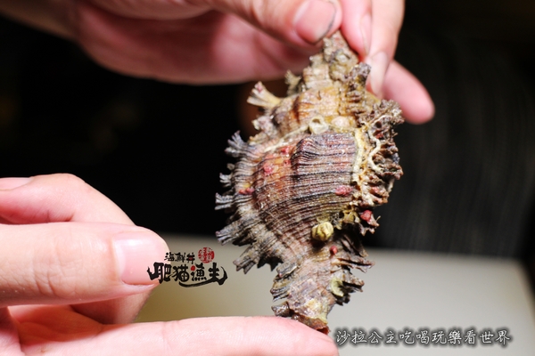 肥猫漁夫 海鮮丼專賣店：台北海鮮丼/一碗飯吃到18種魚『肥猫漁夫海鮮丼專賣店』捷運中山國小站