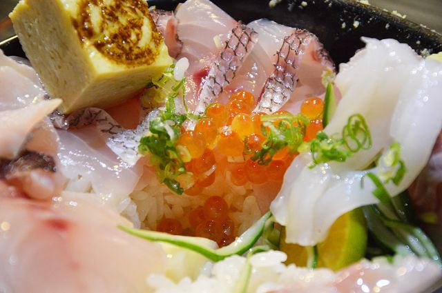 肥貓漁夫二訪27