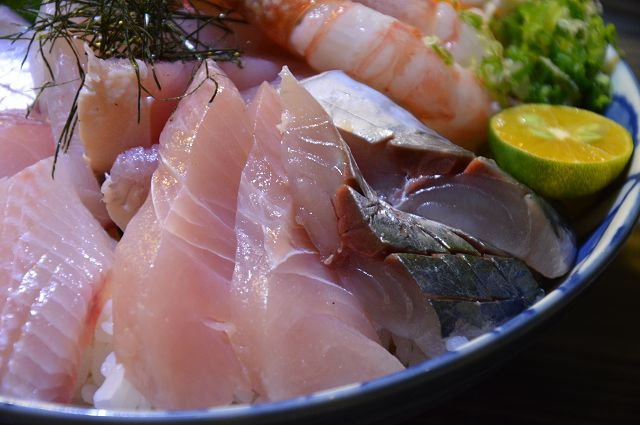 肥貓漁夫二訪17