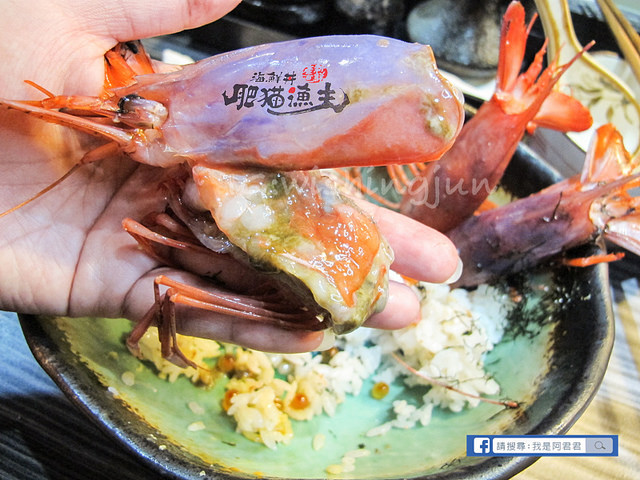 肥貓漁夫_阿君君-7058