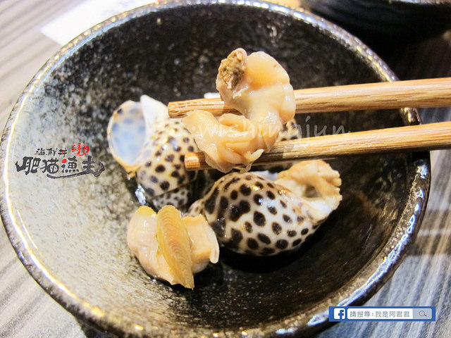 肥貓漁夫_阿君君-6953