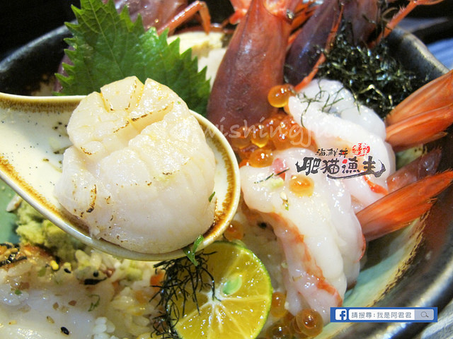 肥貓漁夫_阿君君-7050