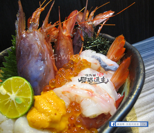 肥貓漁夫_阿君君-6991