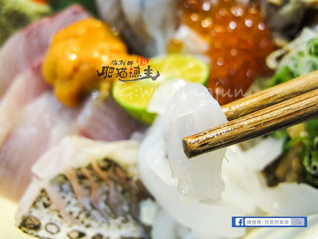 肥貓漁夫_阿君君-7044