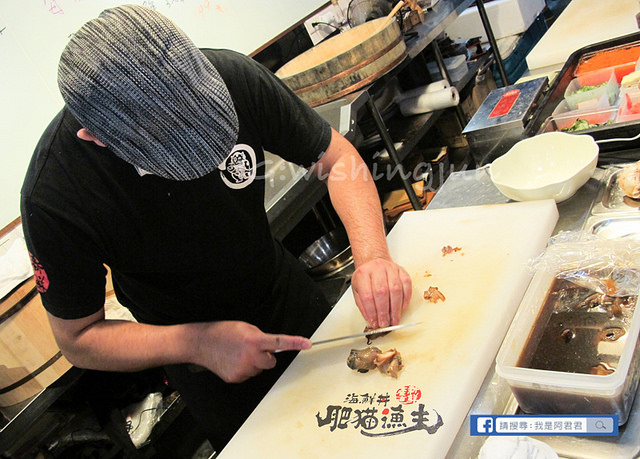 肥貓漁夫_阿君君-6949