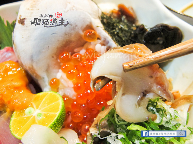 肥貓漁夫_阿君君-7046