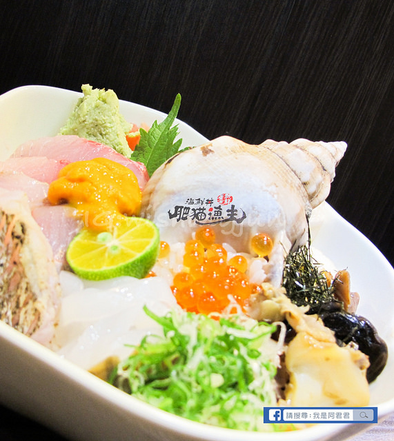 肥貓漁夫_阿君君-6977