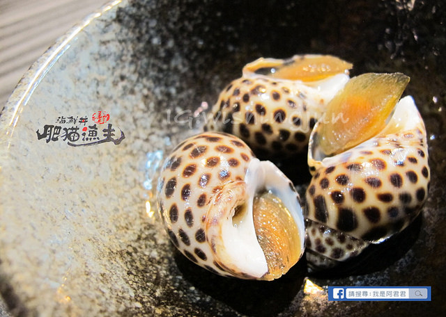 肥貓漁夫_阿君君-6942