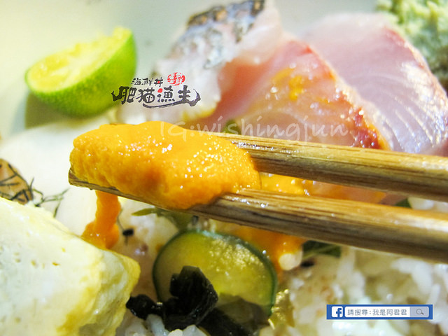 肥貓漁夫_阿君君-7055