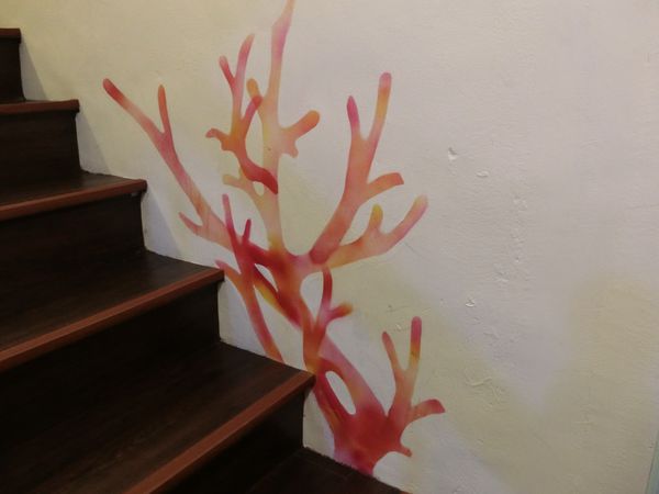 淺水藍青年旅館：[住宿] 與背包一起淺水藍-淺水藍背包客棧