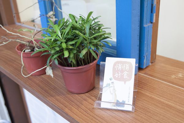 悄悄好食一店 - 10