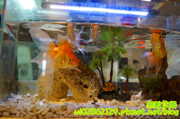 cm20150922___6c7e629d7e4778f533182ef96f3