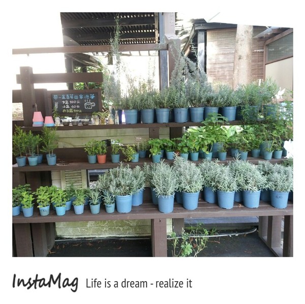 薰衣草森林(新社店)：【台中景點】來趟森林中的旋轉木馬及野宴吧~台中新社薰衣草森林