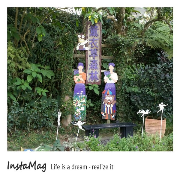 薰衣草森林(新社店)：【台中景點】來趟森林中的旋轉木馬及野宴吧~台中新社薰衣草森林