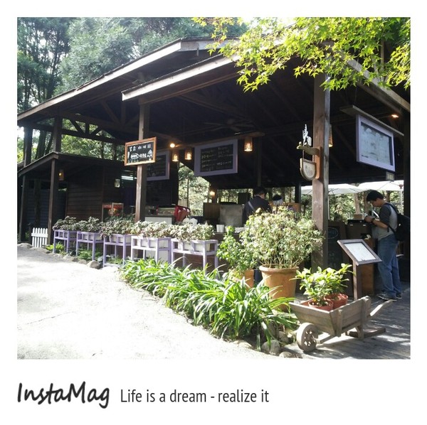 薰衣草森林(新社店)：【台中景點】來趟森林中的旋轉木馬及野宴吧~台中新社薰衣草森林